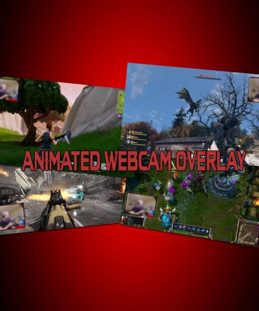 Ninja Animated Webcam Overlay