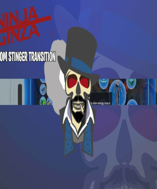 Custom Stinger Animations