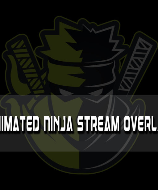 Animated Ninja Overlay